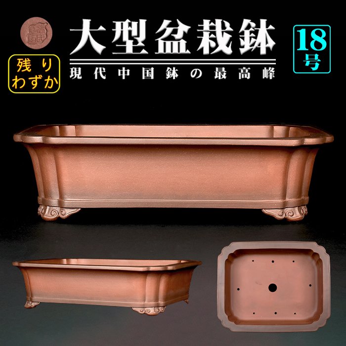 紫泥外縁隅入長方鉢 | 盆栽、盆栽書籍、盆栽鉢の通販│近代出版