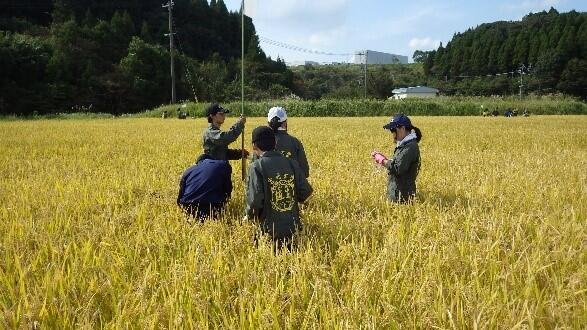 宮崎大学のお米」早期水稲コシヒカリが今年もできました！｜ニュース