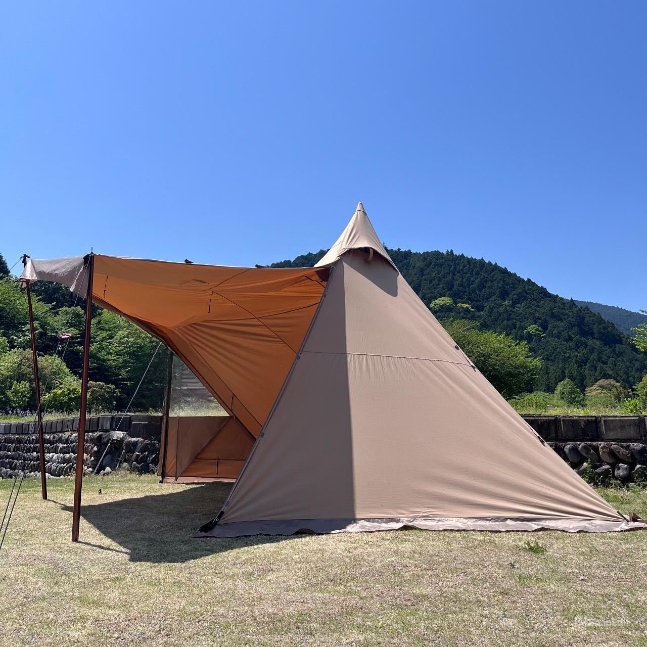 サーカスtcトリポット レギュラー「新品未開封！」 テンマクデザイン