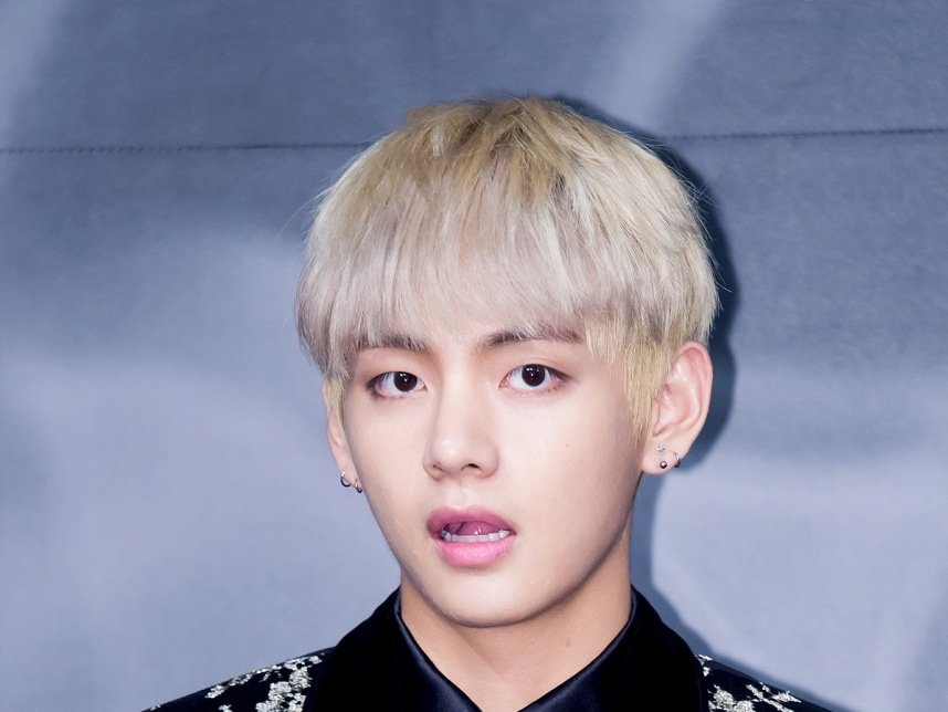 BTS Vじゃなくてテヒョンとハグ！」米作詞家‥大興奮の逸話が話題