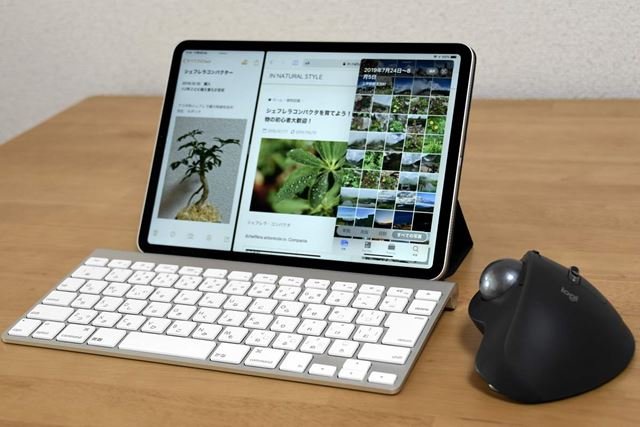 Apple iPad Pro 11インチ 第1世代 Wi-Fi 256GB 2018年秋モデル 価格