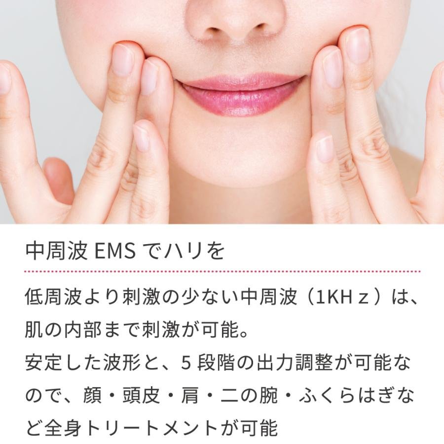 V-ROLL 中周波 EMS 美顔器 ( セルフケア 美顔ローラー エステ 業務用