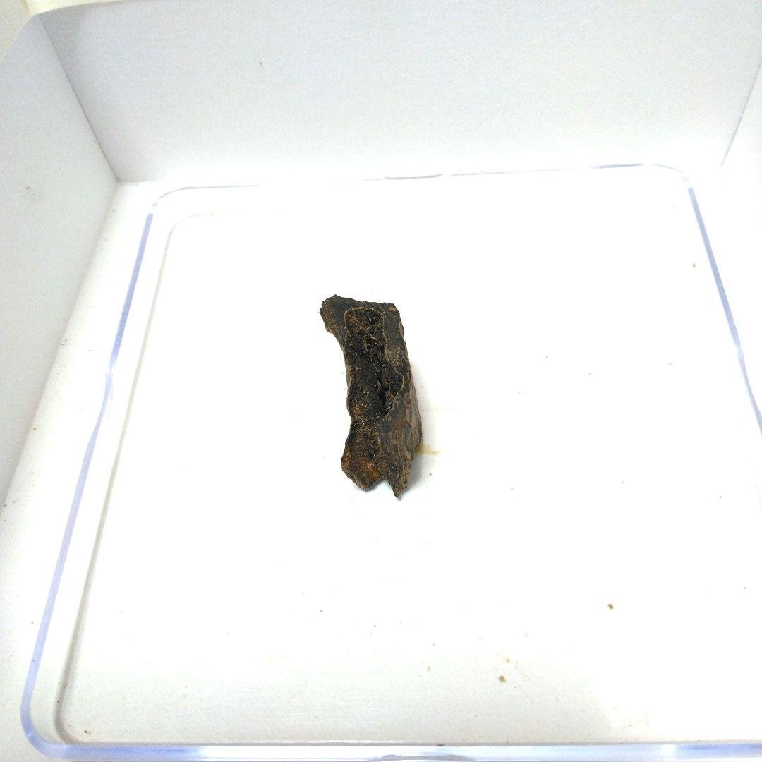 最高級紅土沈香A 2.87g