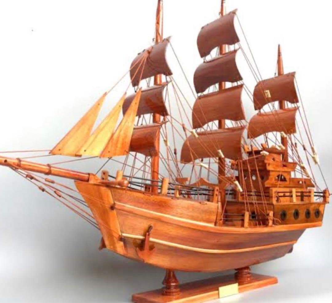 エーゾーン Wooden Art ki-gu-mi ワンピース ゴーイング・メ… Amazon.co.jp: エーゾーン 木製立体パズル Wooden Art ki-gu-mi