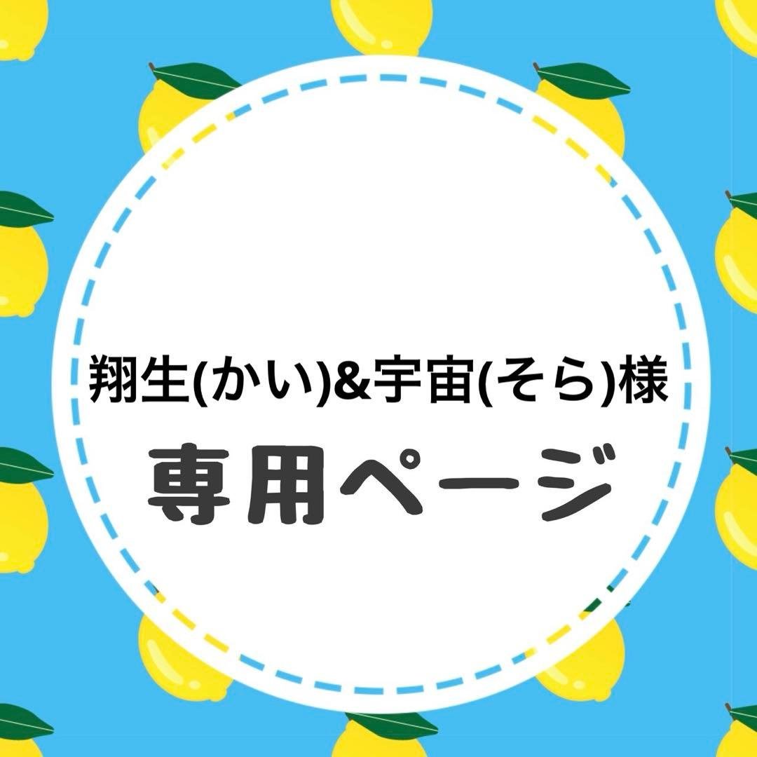 翔生(かい)&宇宙(そら)ページ 宇宙【そら】へ 上: 書籍- 早川書房オフィシャルサイト｜ミステリ・SF